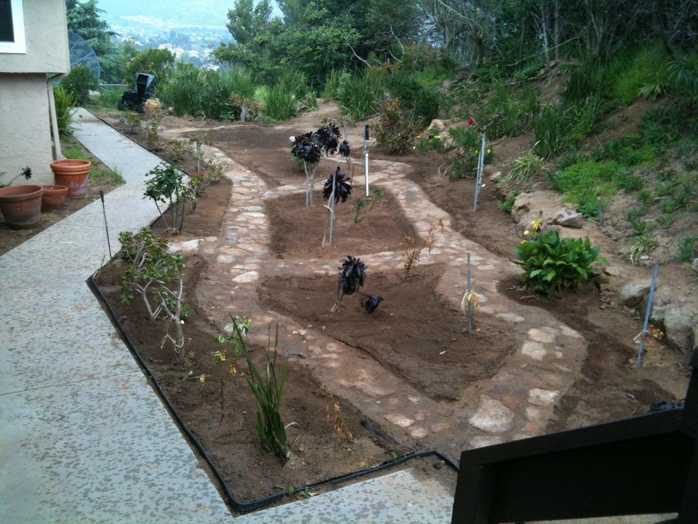 2406 photo 20